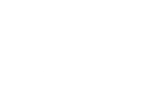 fad